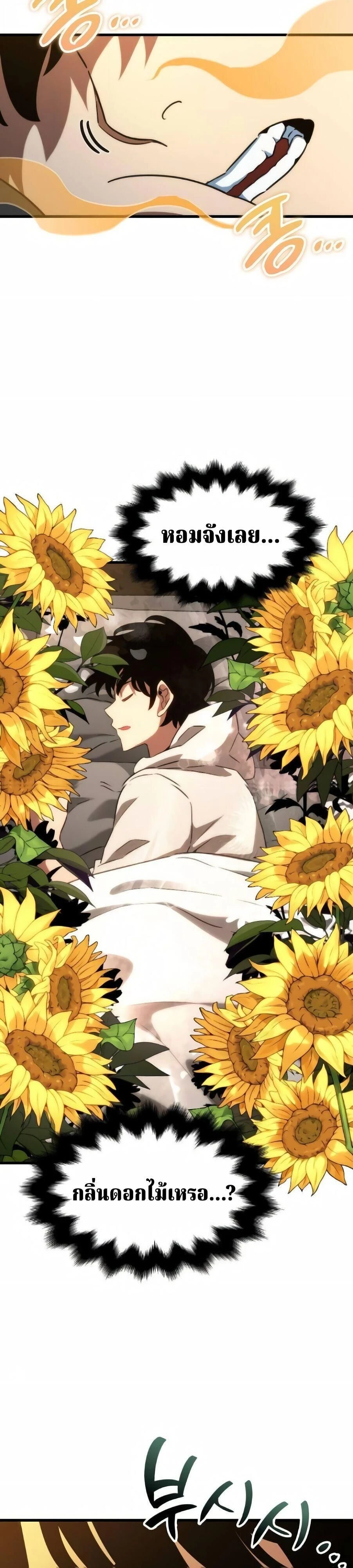 หน้าที่ 33