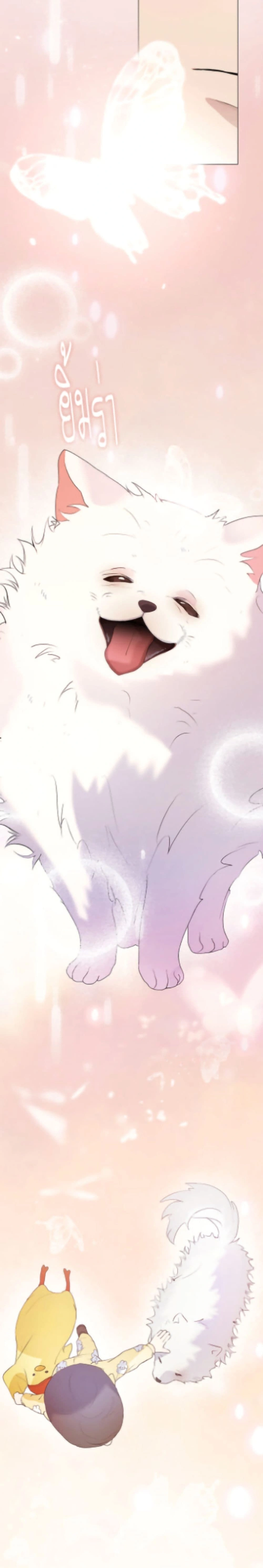 หน้าที่ 17