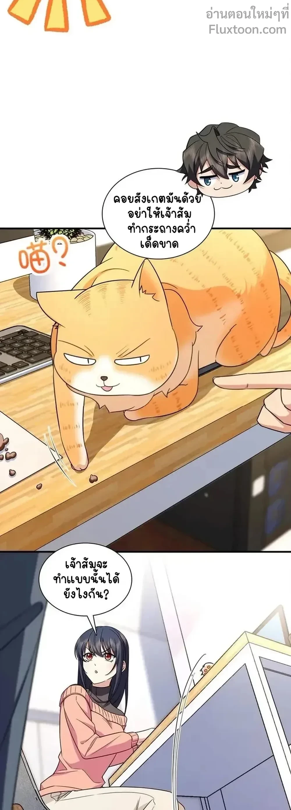 หน้าที่ 17