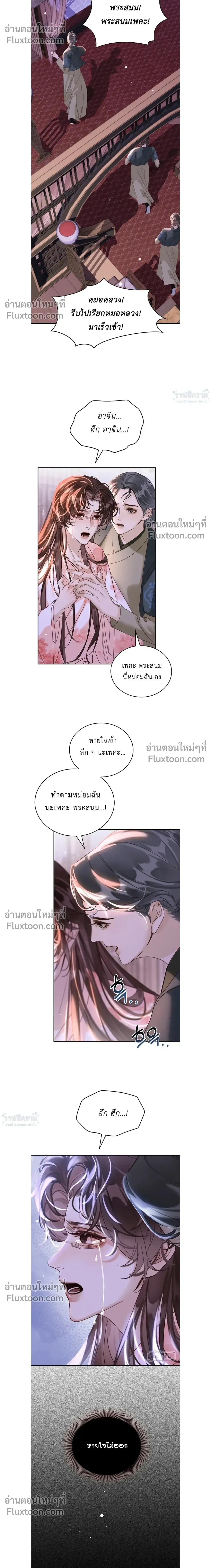 หน้าที่ 17