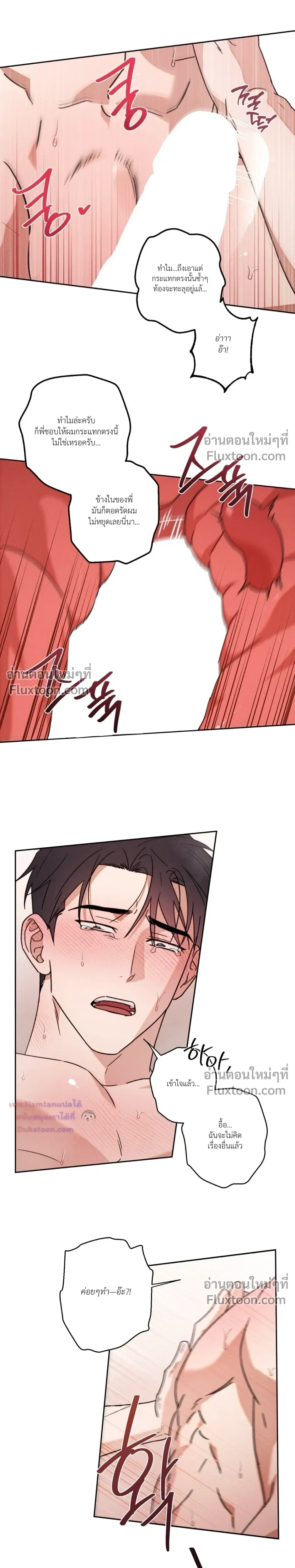 หน้าที่ 13