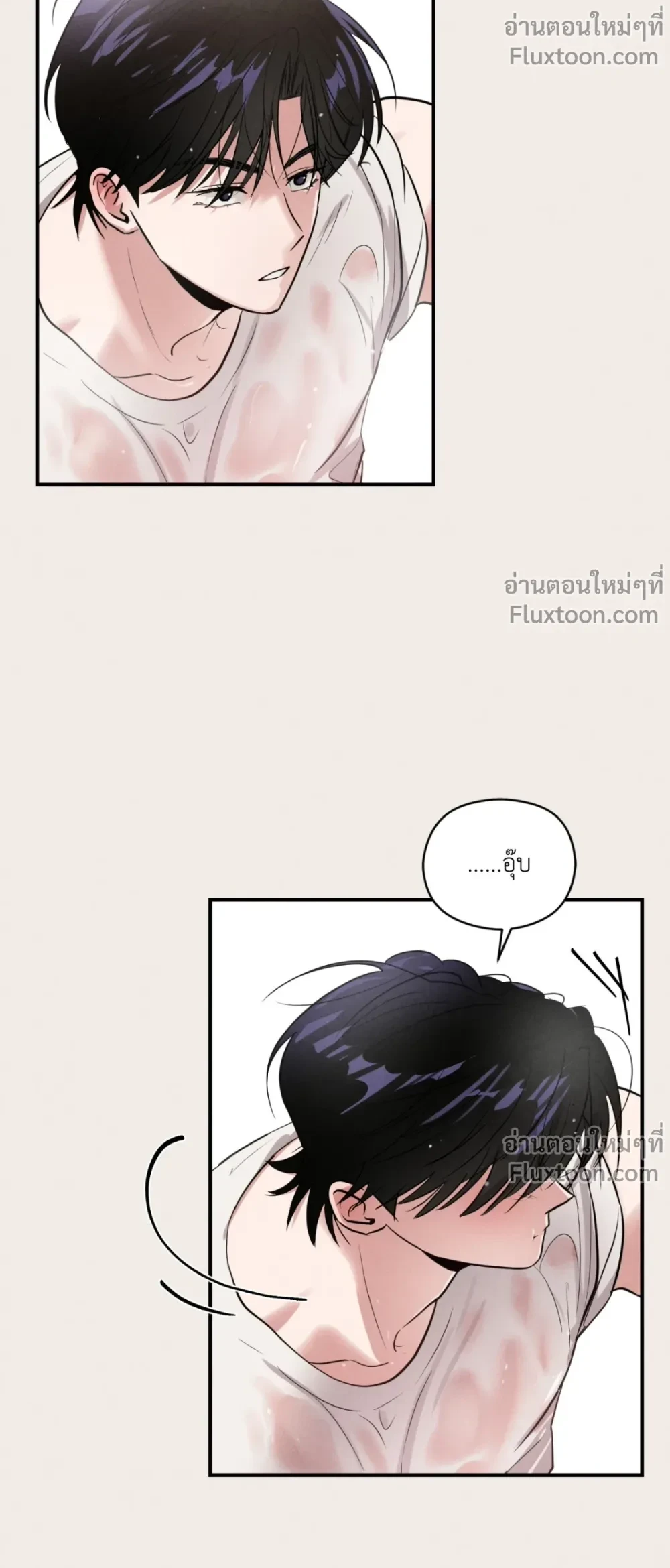 หน้าที่ 17