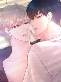 ปกมังงะ FATE MATE - เฟท เมท