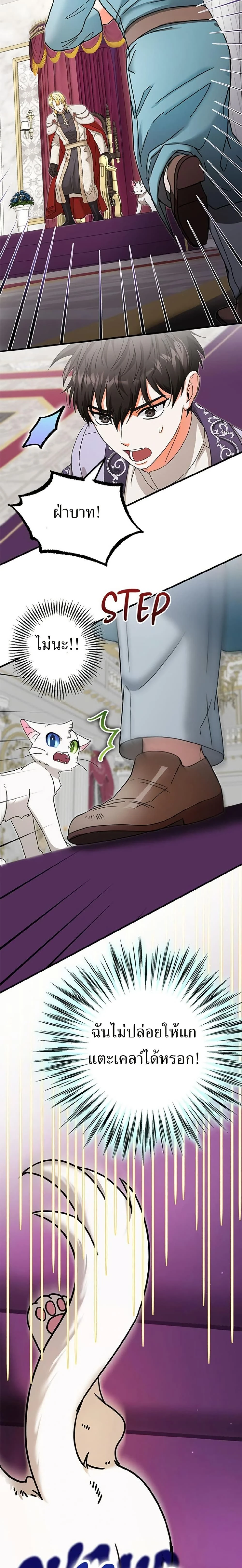 หน้าที่ 17