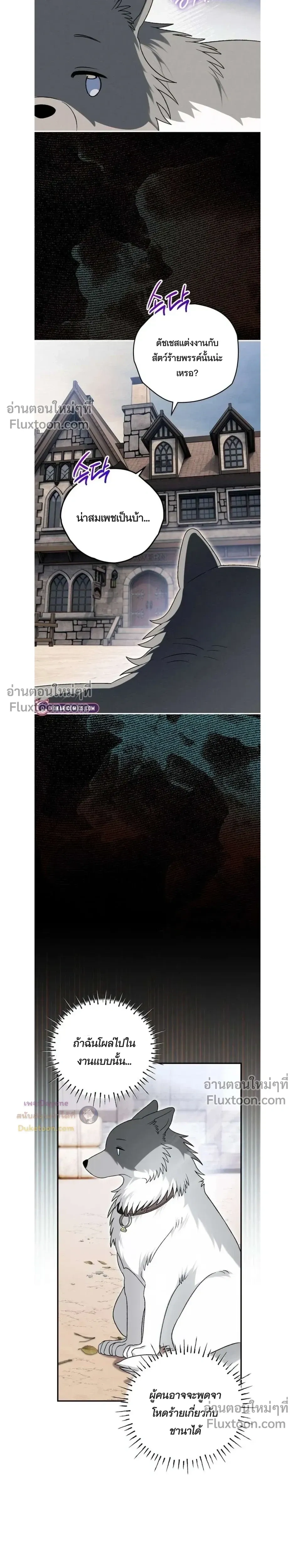 หน้าที่ 28