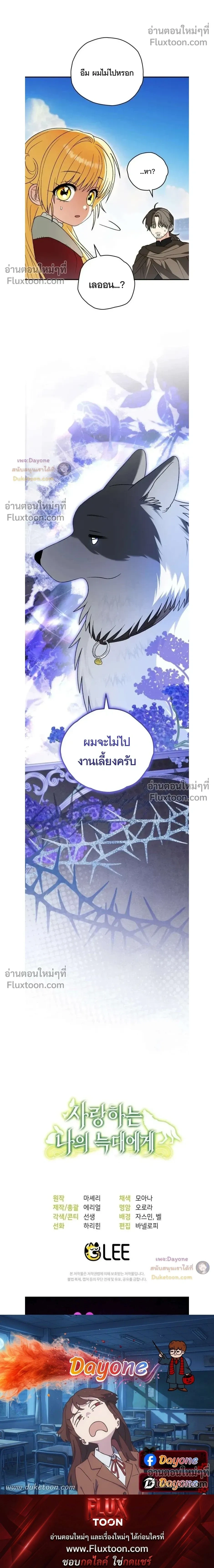 หน้าที่ 29