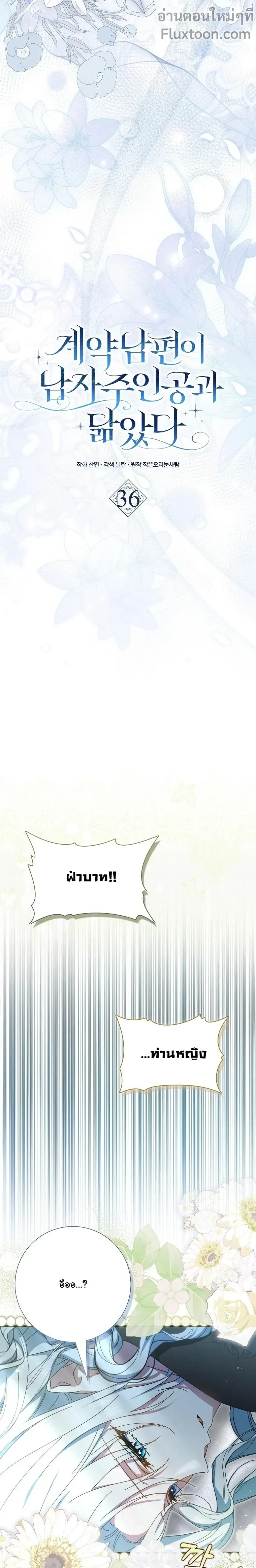 หน้าที่ 11