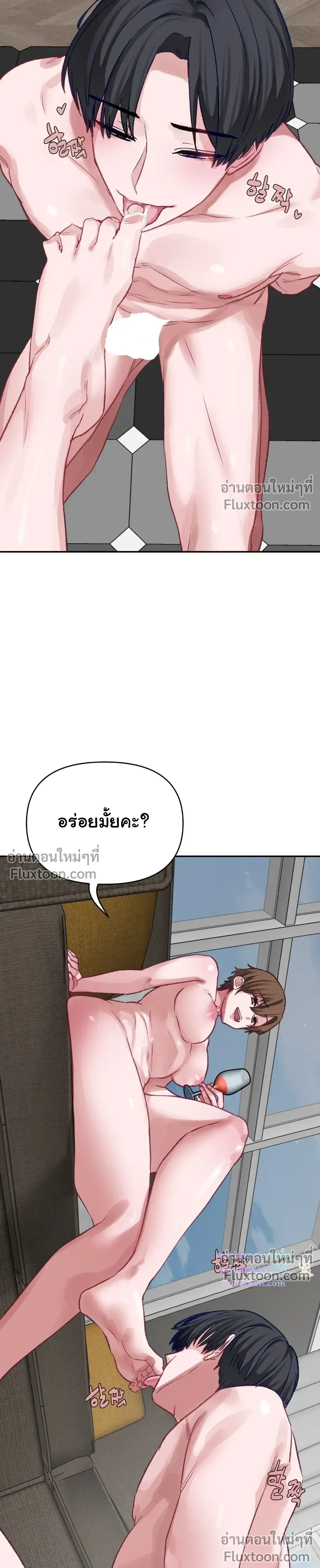 หน้าที่ 17