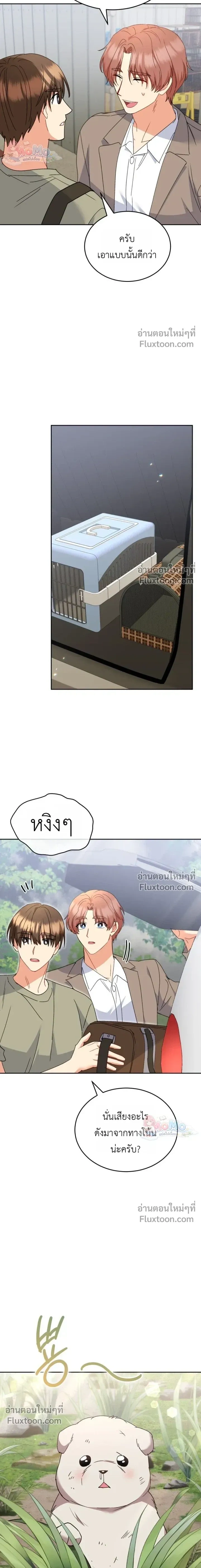 หน้าที่ 11