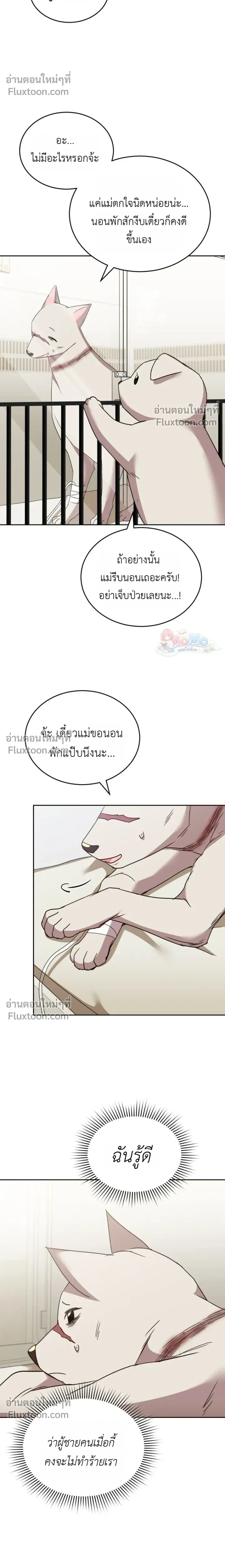 หน้าที่ 19