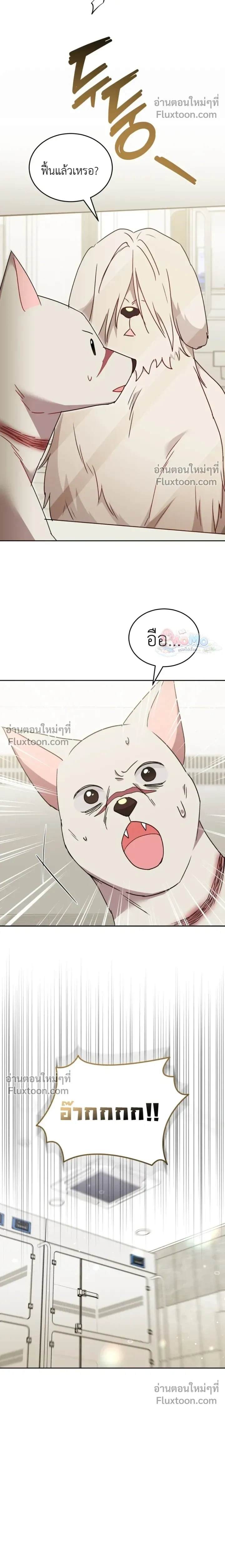 หน้าที่ 21