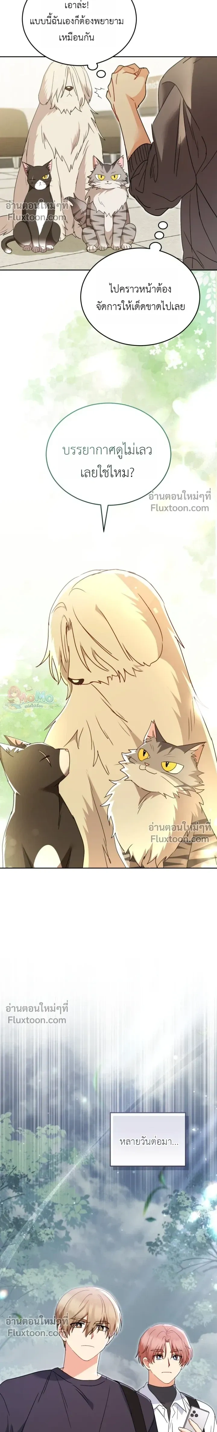 หน้าที่ 14