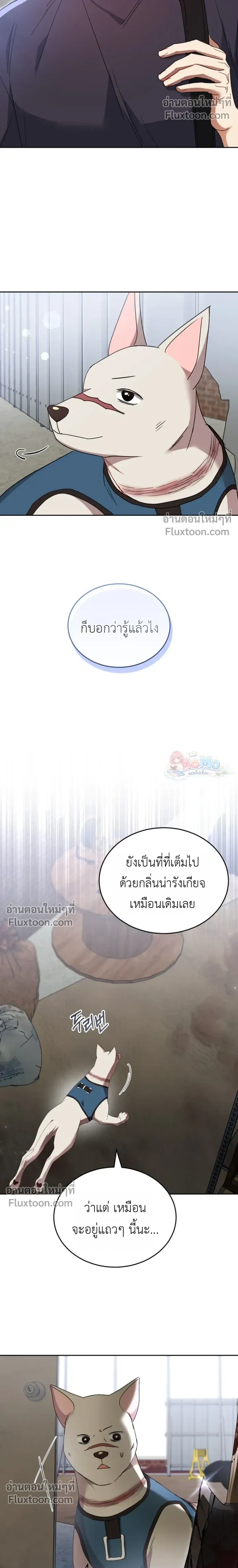 หน้าที่ 17