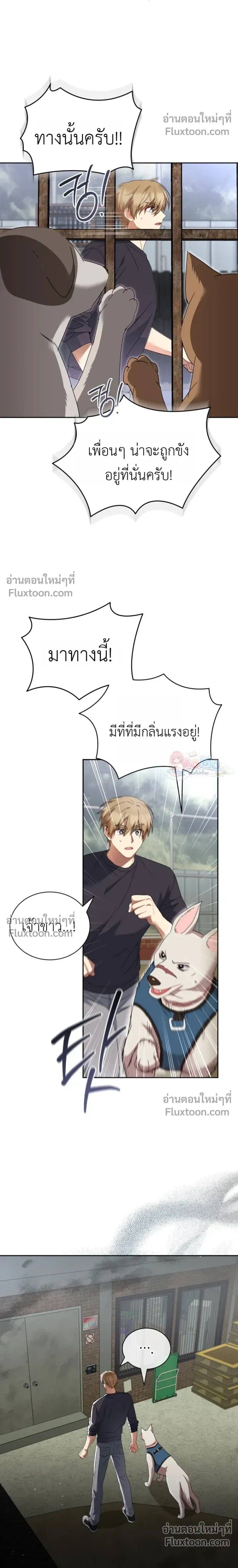 หน้าที่ 17