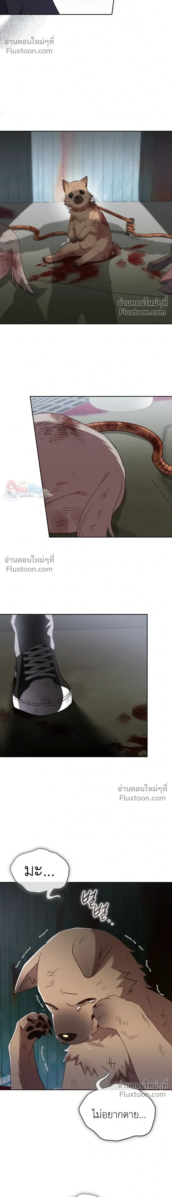 หน้าที่ 19