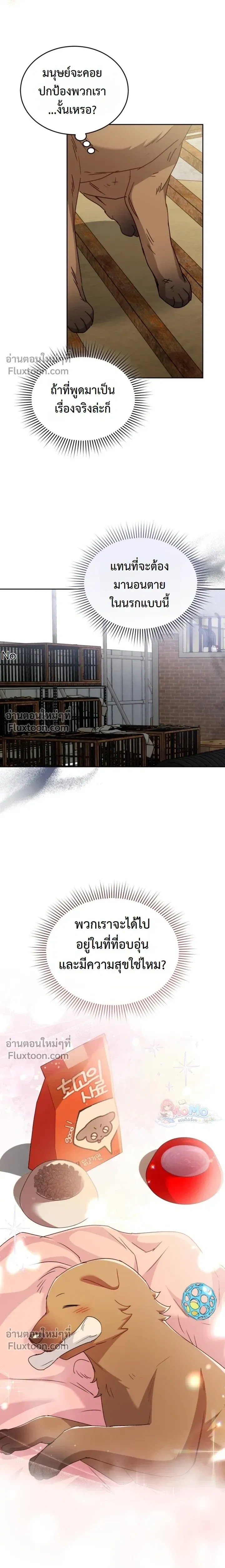 หน้าที่ 17