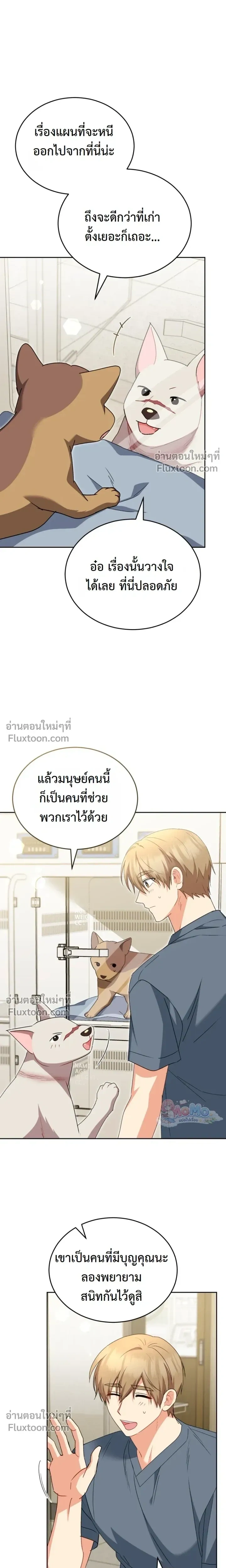 หน้าที่ 11