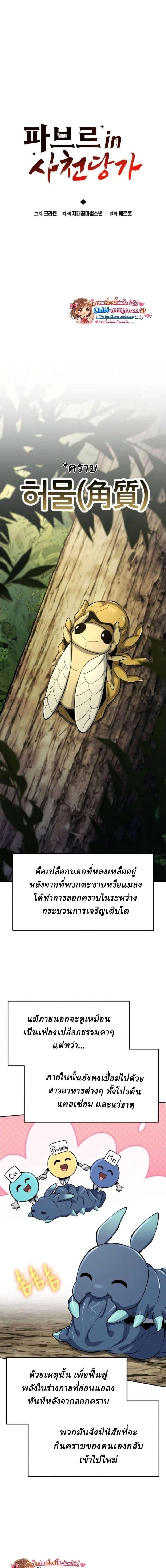 หน้าที่ 13