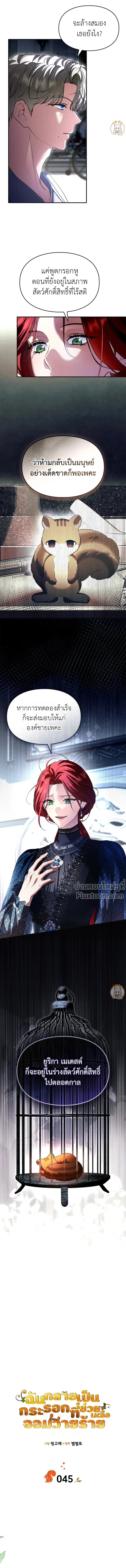 หน้าที่ 3