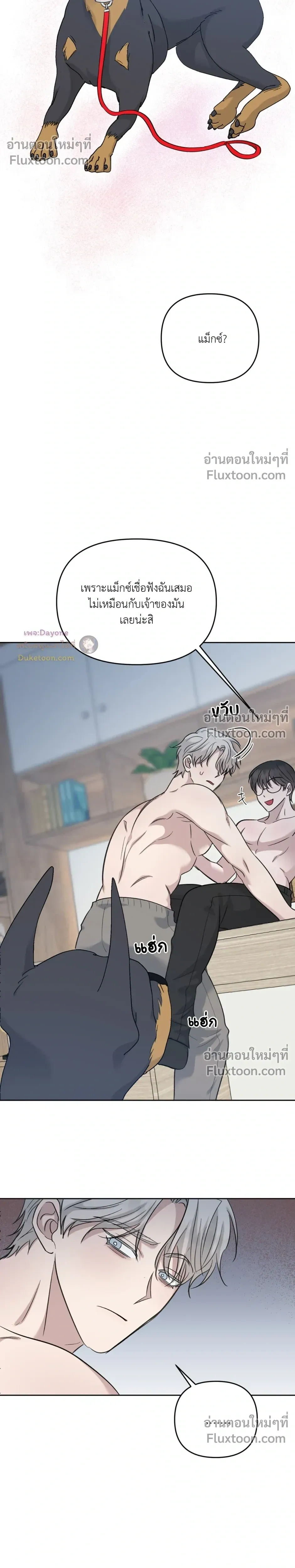 หน้าที่ 17