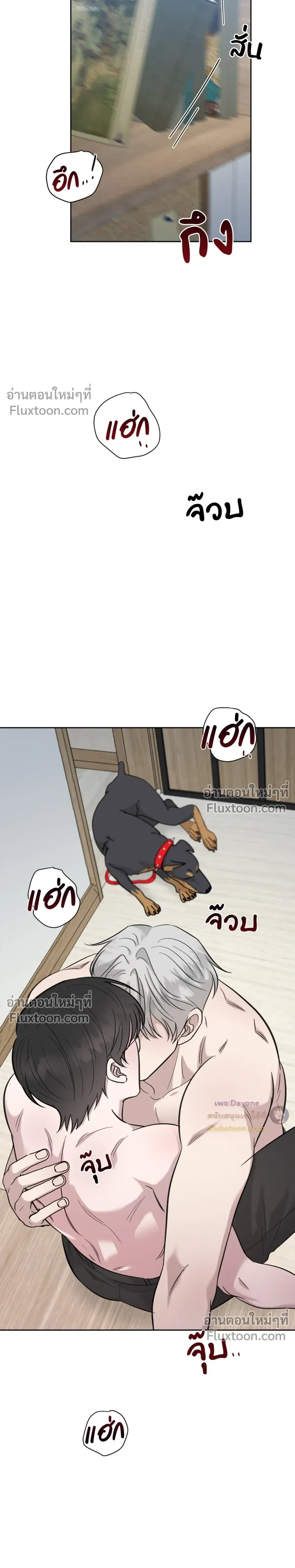 หน้าที่ 13