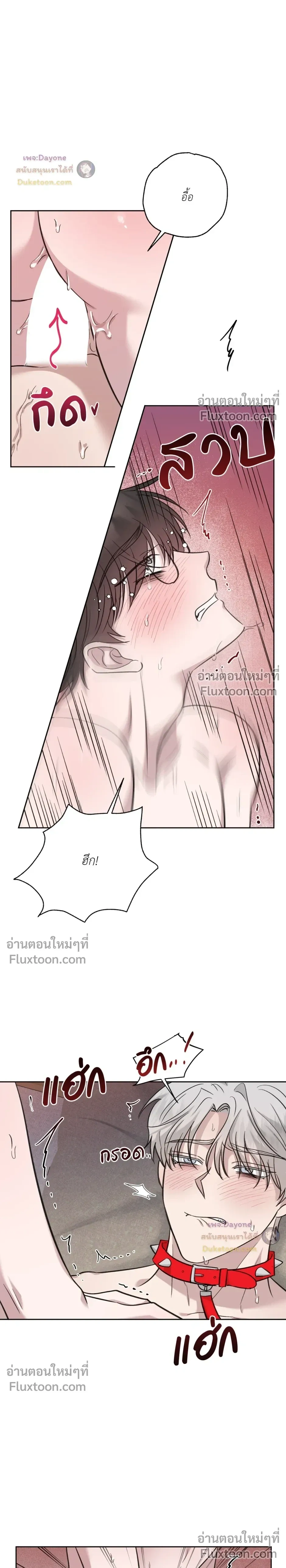 หน้าที่ 24