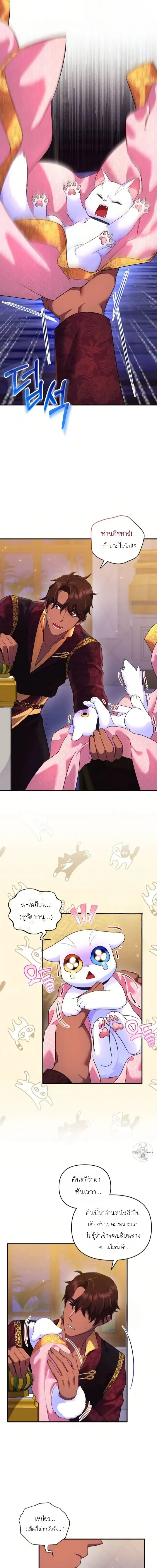 หน้าที่ 9