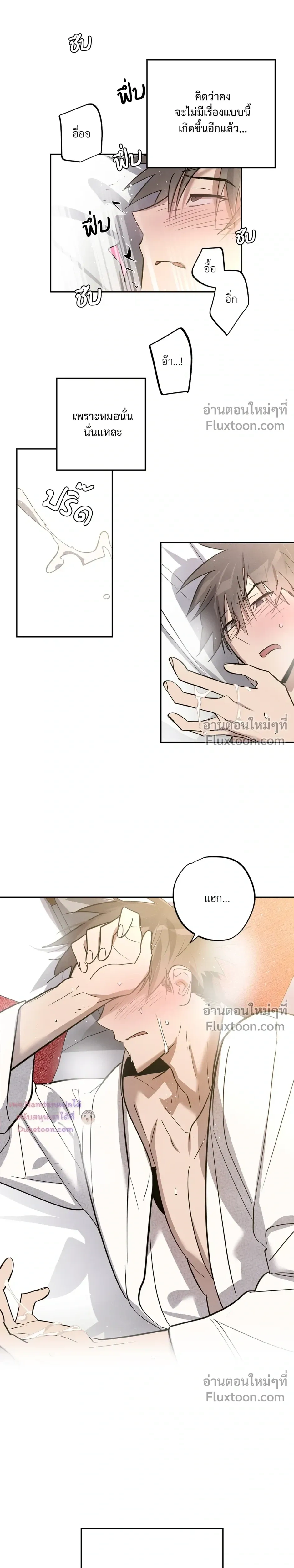 หน้าที่ 13