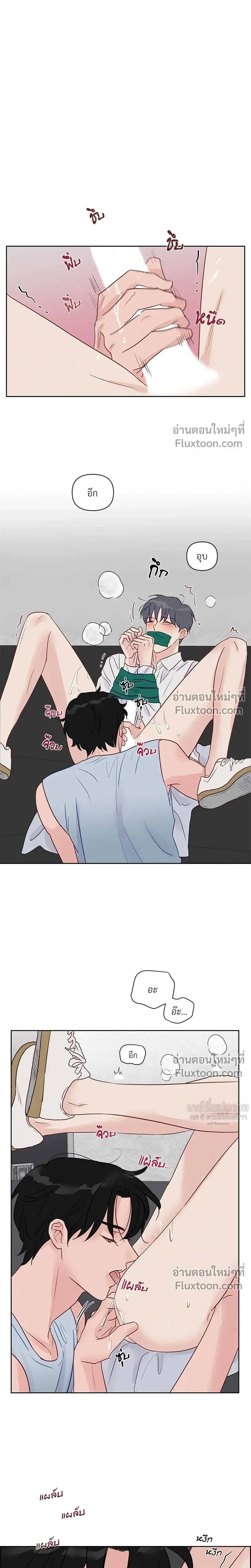 หน้าที่ 13