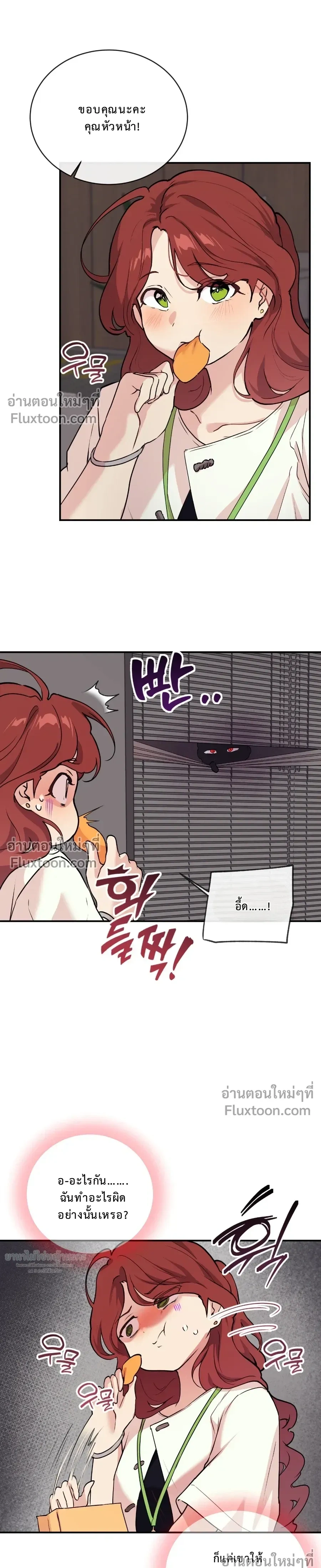 หน้าที่ 17