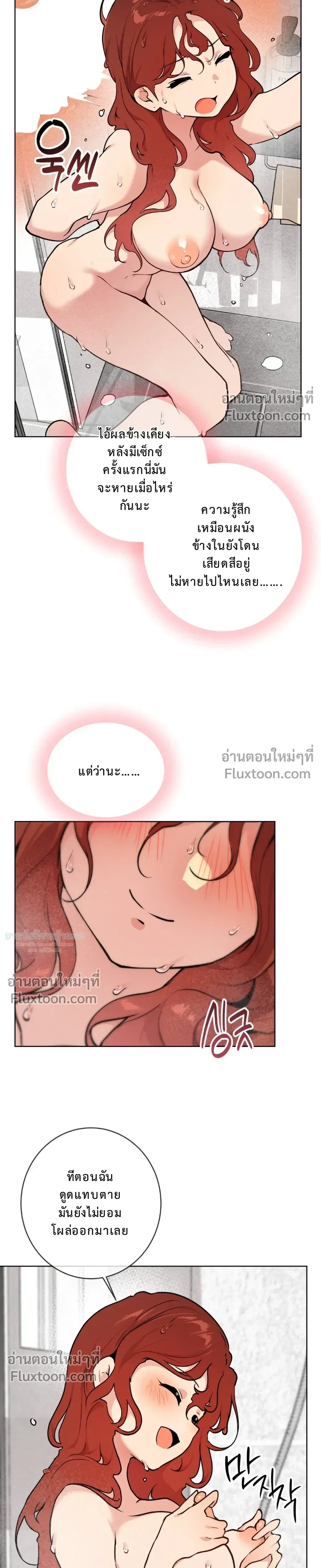 หน้าที่ 17