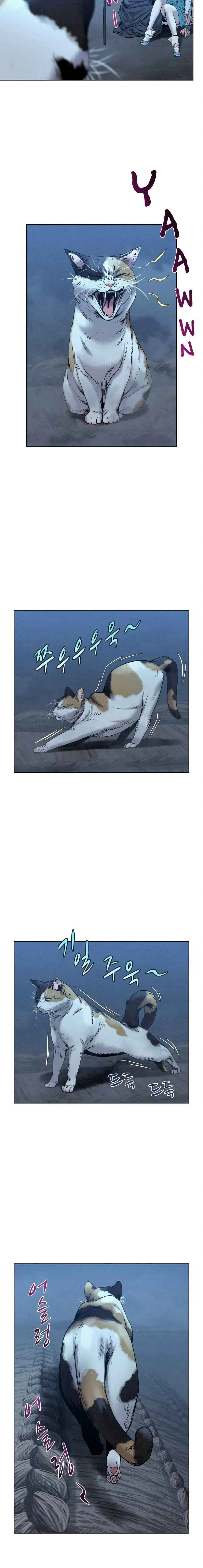 หน้าที่ 13