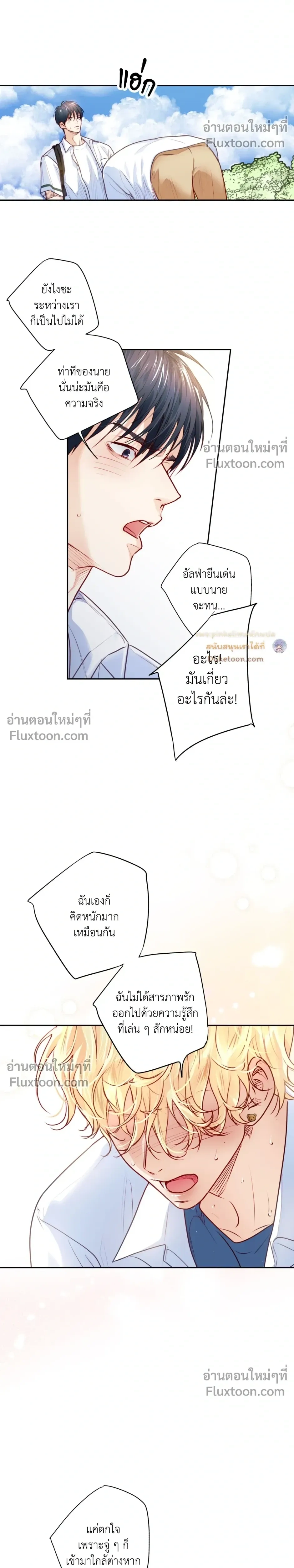 หน้าที่ 17