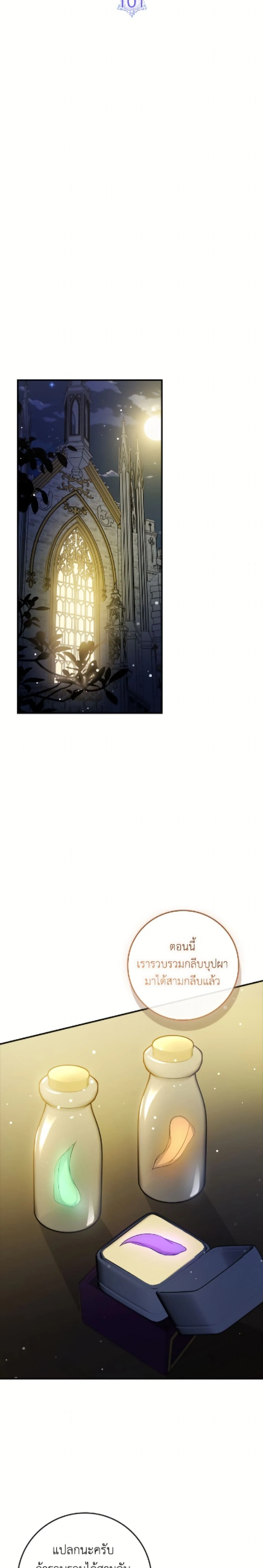 หน้าที่ 19