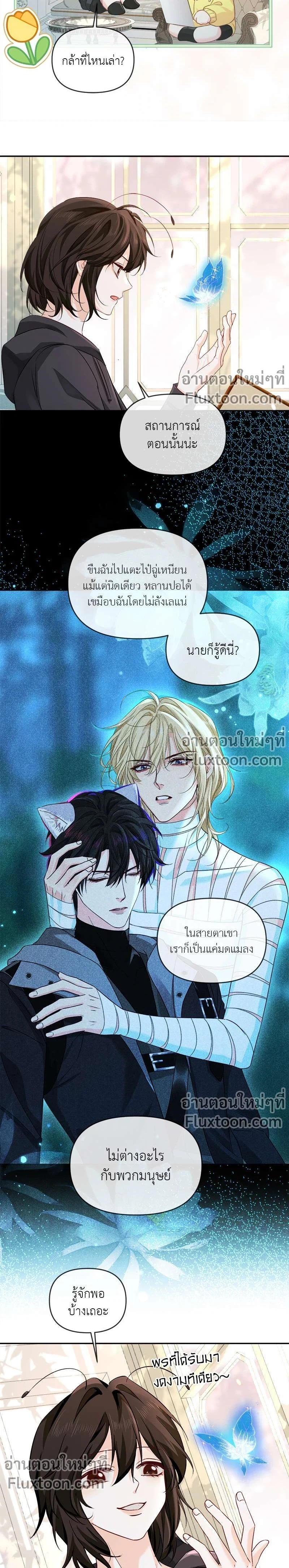 หน้าที่ 3