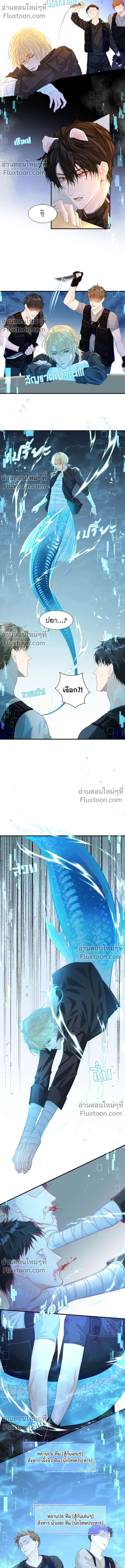 หน้าที่ 8