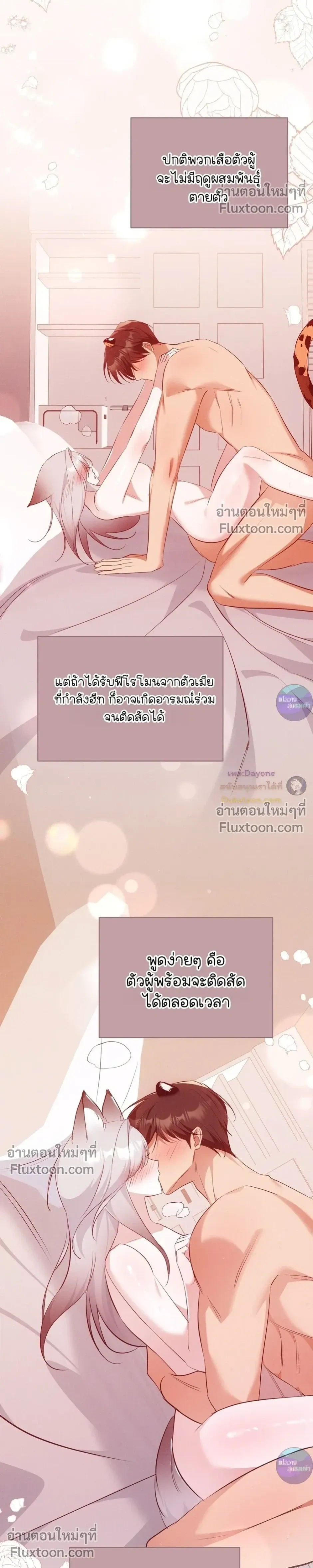 หน้าที่ 17