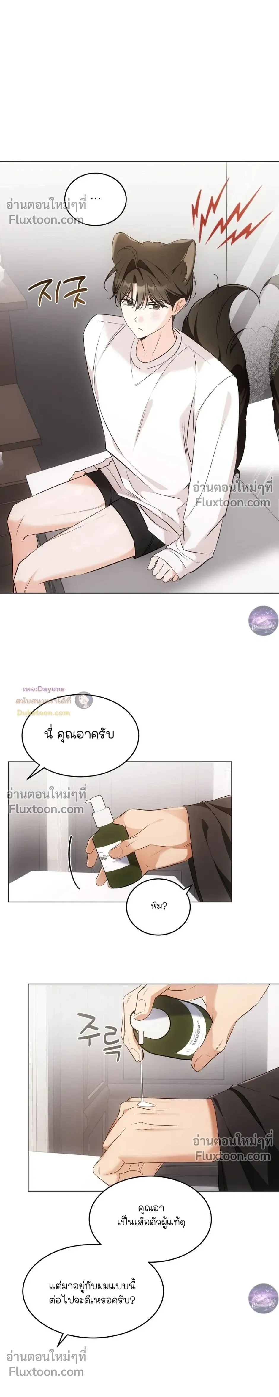 หน้าที่ 17