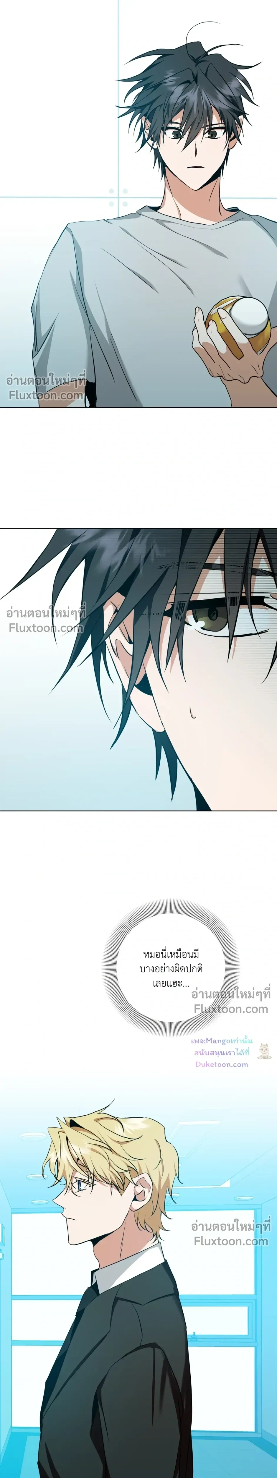 หน้าที่ 13