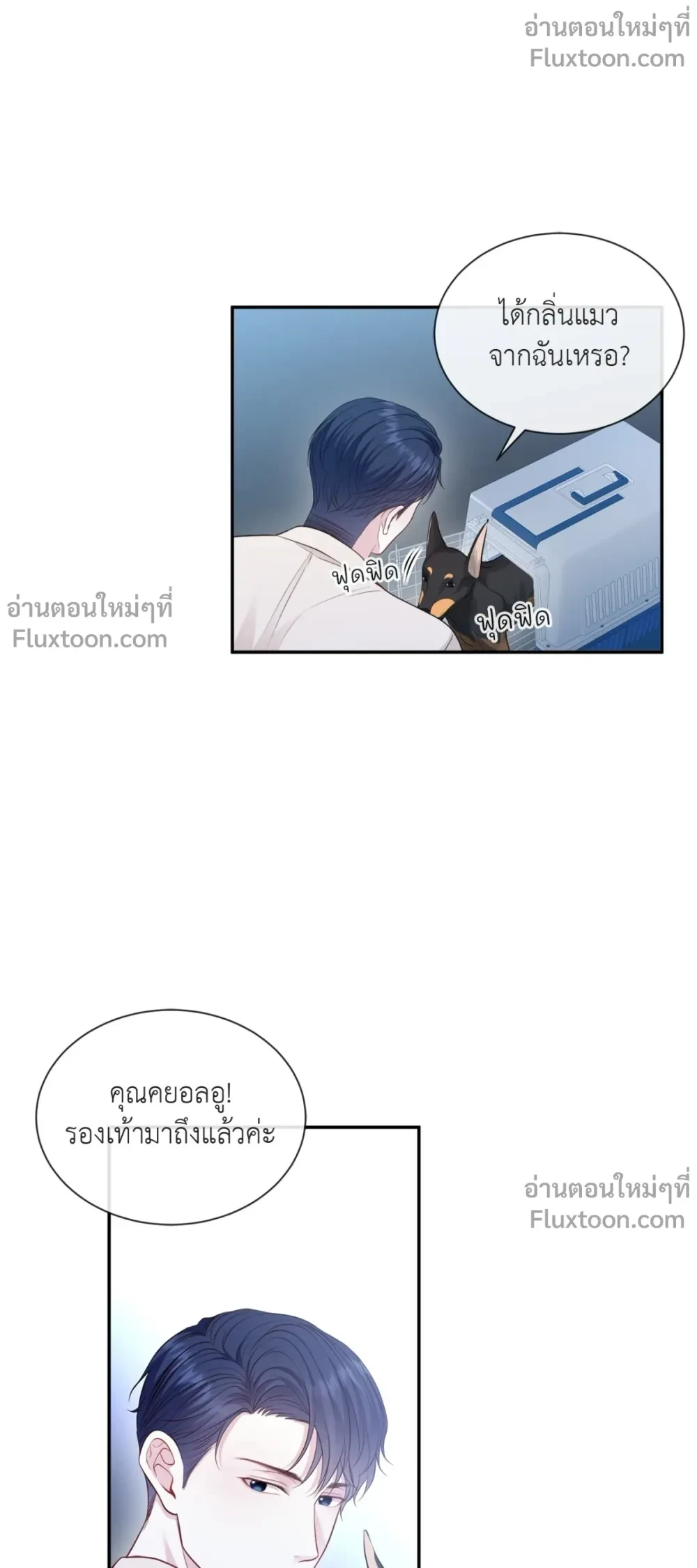 หน้าที่ 13