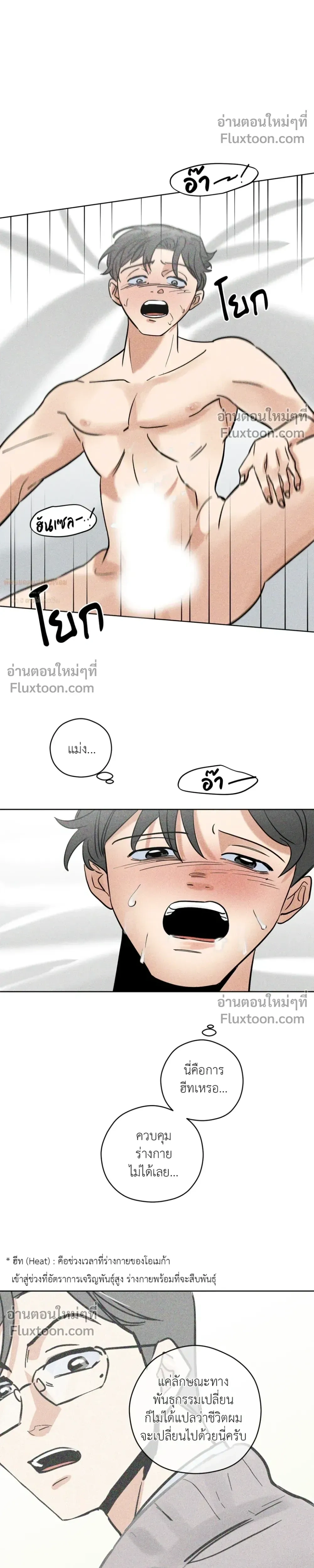 หน้าที่ 29