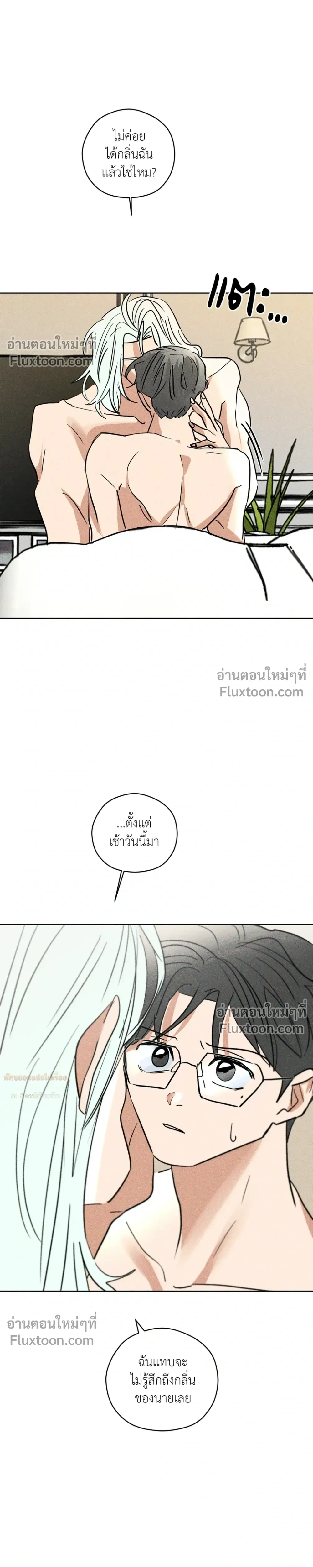 หน้าที่ 13