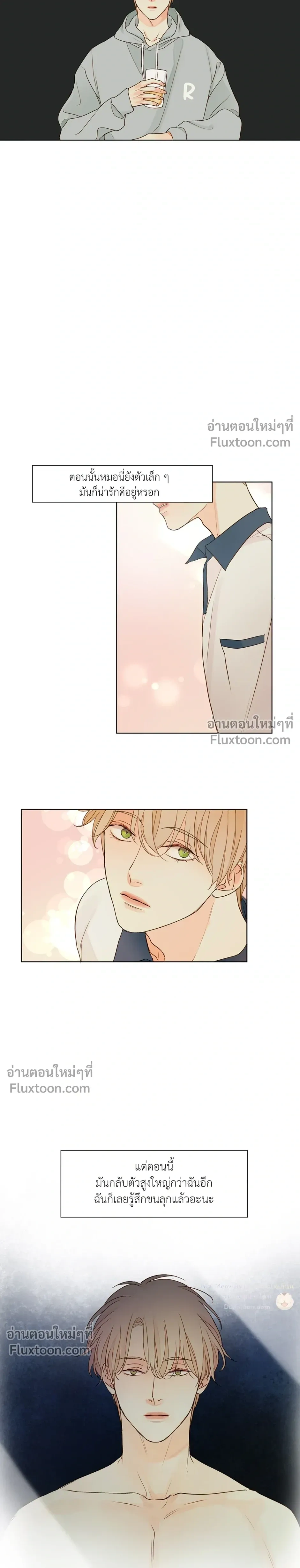 หน้าที่ 12