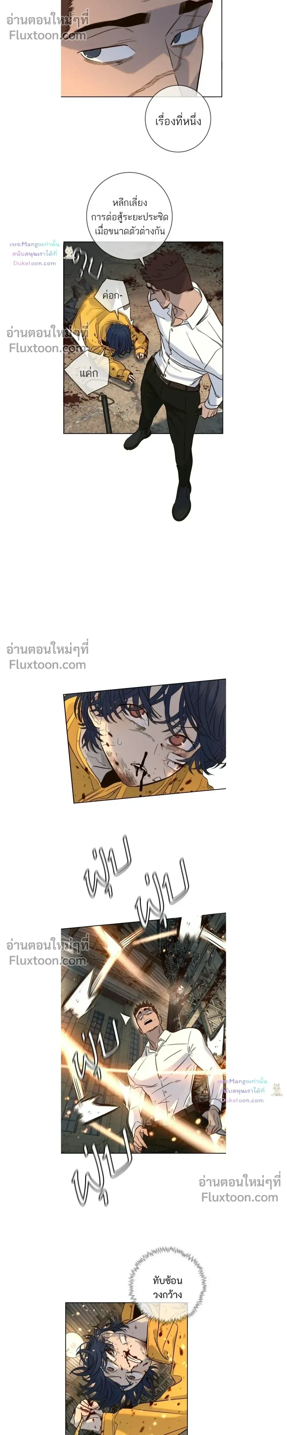 หน้าที่ 17