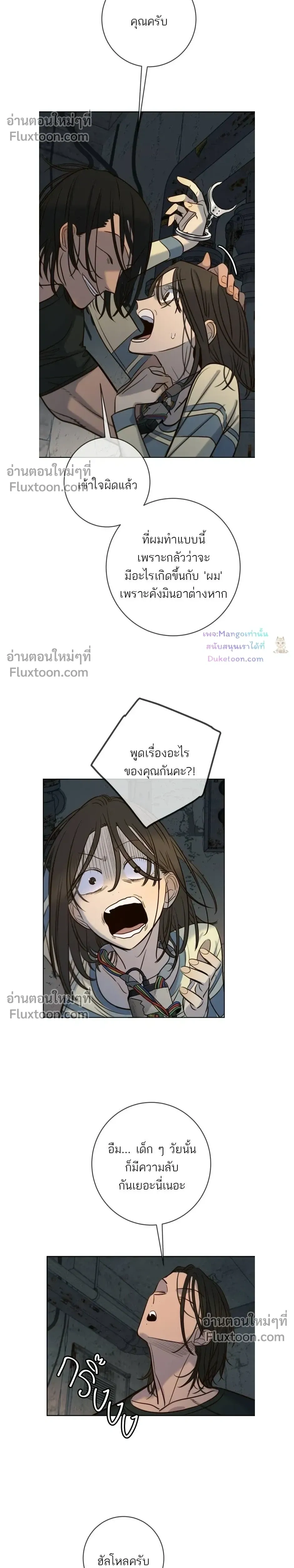 หน้าที่ 13