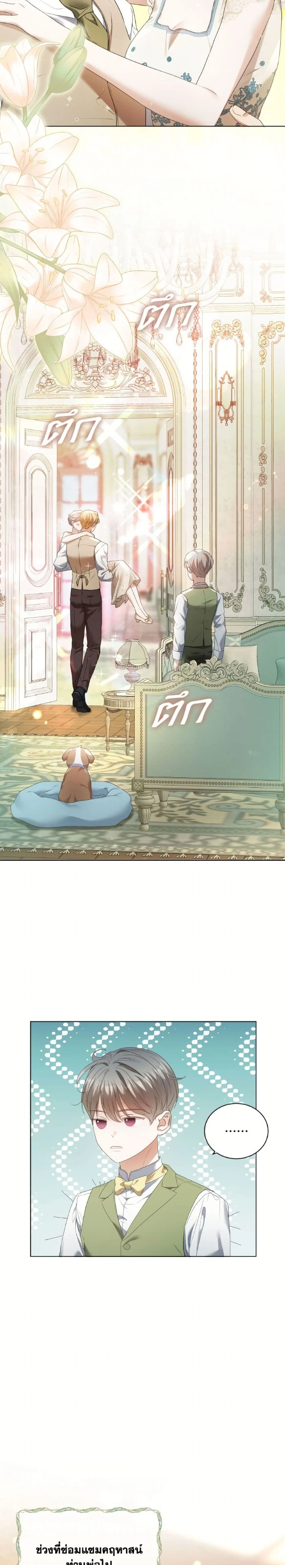 หน้าที่ 13