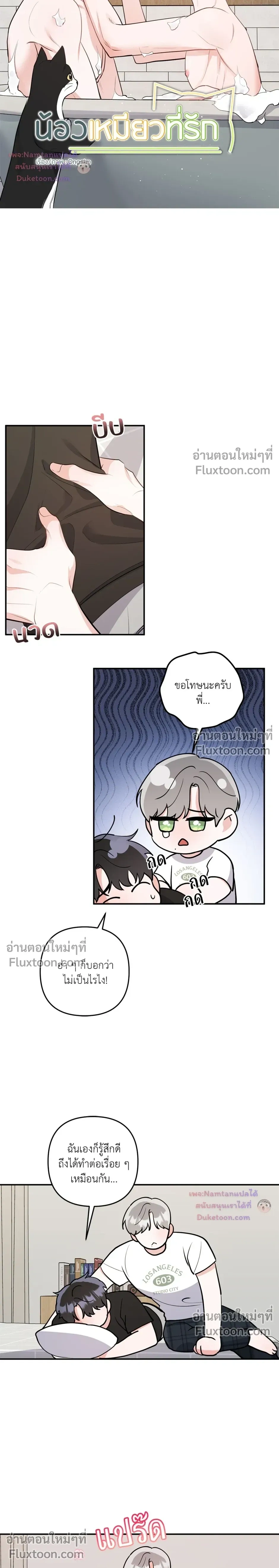 หน้าที่ 15