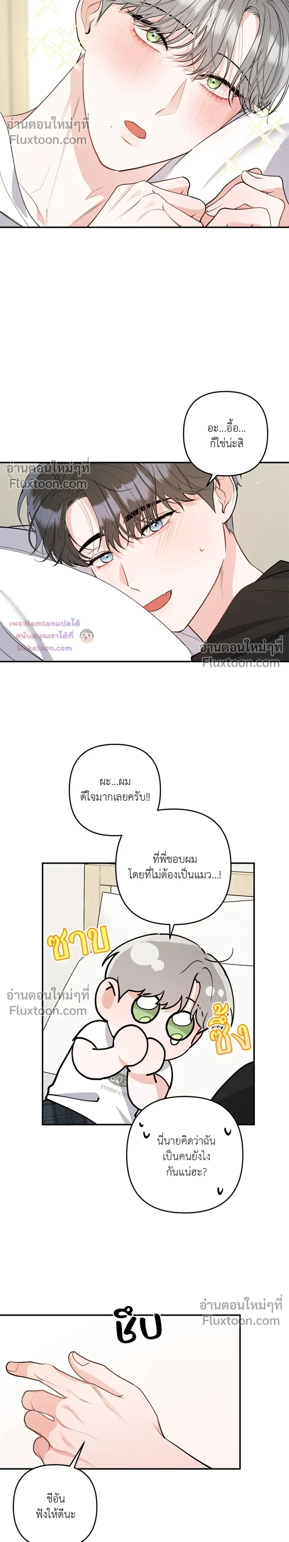 หน้าที่ 17