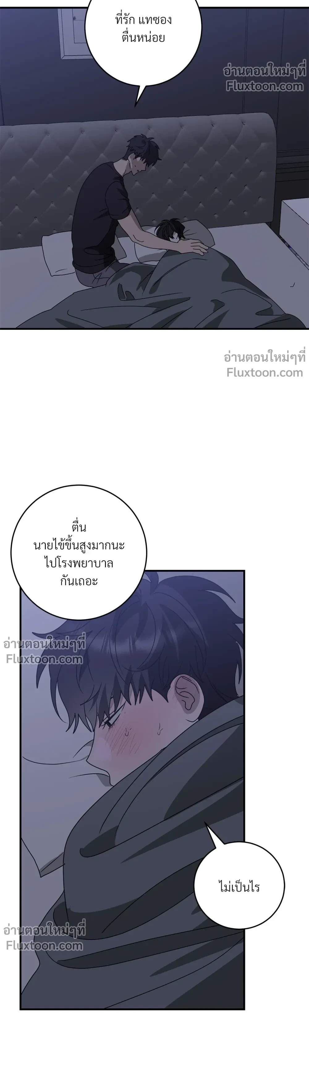 หน้าที่ 13