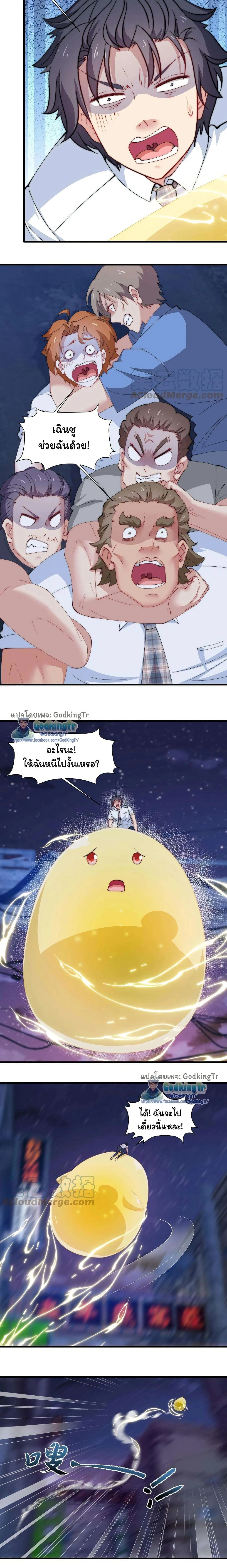 หน้าที่ 5